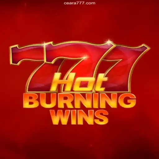 HotBurningWins: A Riveting Casino Gaming Experience